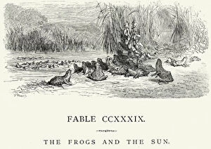 Pond Gallery: La Fontaines Fables - Frogs and the Sun