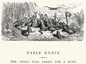 Images Dated 4th August 2014: La Fontaines Fables - Frogs who asked for a King