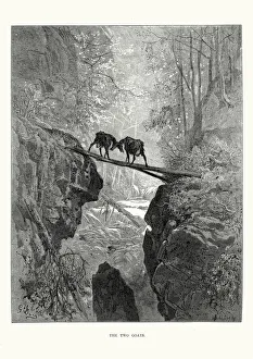 Ravine Collection: La Fontaines Fables - The Two Goats