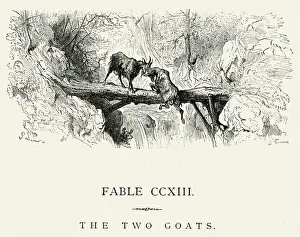 Brawl Prints: La Fontaines Fables - The Two Goats