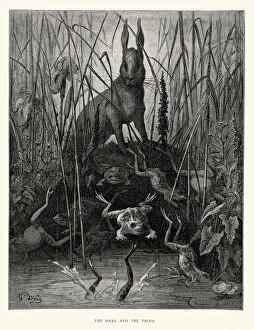 Pond Gallery: La Fontaines Fables - Hare and the Frogs