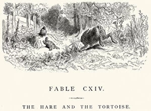 Images Dated 23rd September 2014: La Fontaines Fables - Hare and the Tortoise