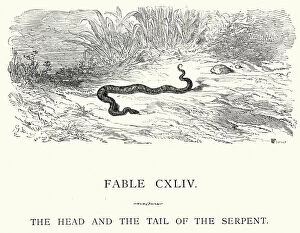 Snake Gallery: La Fontaines Fables - Head and Tail of the Serpent
