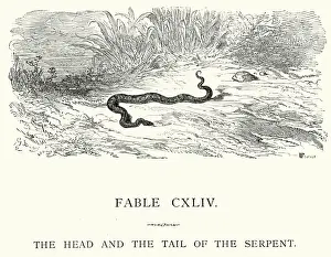 La Fontaines Fables - Head and Tail of the Serpent
