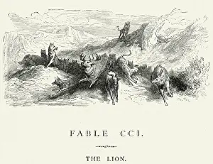 Big Cat Prints: La Fontaines Fables - The Lion