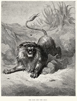 Images Dated 1st August 2014: La Fontaines Fables - The Lion and the Gnat