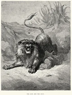 Pest Collection: La Fontaines Fables - The Lion and the Gnat