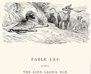 Images Dated 23rd September 2014: La Fontaines Fables - The Lion Grown Old
