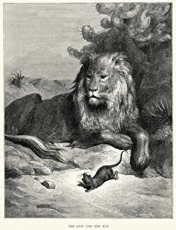 Images Dated 2nd August 2014: La Fontaines Fables - Lion and the Rat
