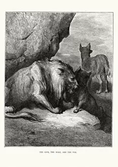 Images Dated 10th January 2015: La Fontaines Fables - Lion Wolf and the Fox