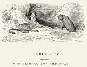 Female Animal Gallery: La Fontaines Fables - Lioness and the She Bear