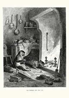 Monkey Collection: La Fontaines Fables - Monkey and the Cat