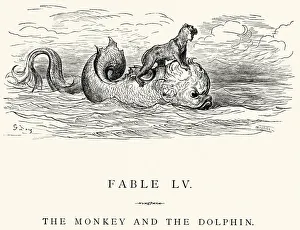 Monkey Collection: La Fontaines Fables - Monkey and the Dolphin