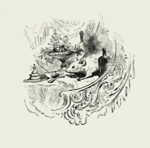 Pest Collection: La Fontaines Fables - The Mouse