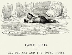 Images Dated 18th December 2014: La Fontaines Fables - Old Cat and the Young Mouse