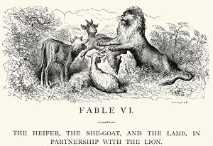 Hoofed Mammal Gallery: La Fontaines Fables - Partnership with the Lion