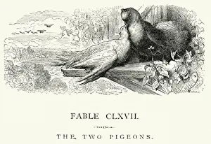 Pigeon Prints: La Fontaines Fables - The Two Pigeons