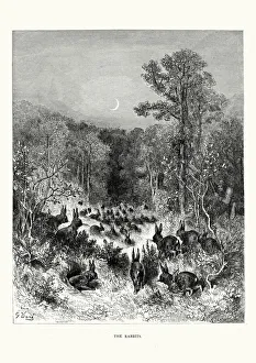 Pest Collection: La Fontaines Fables - The Rabbits
