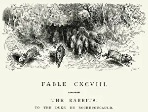 Epidemic Prints: La Fontaines Fables - The Rabbits