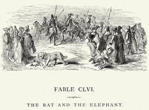 Nobility Gallery: La Fontaines Fables - Rat and the Elephant