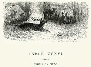 Herd Prints: La Fontaines Fables - The Sick Stag
