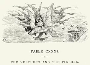 Large Group Of Animals Collection: La Fontaines Fables - Vultures and the Pigeons