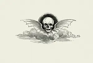 Animal Limb Prints: La Fontaines Fables - Winged Deaths Head