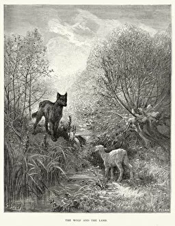 Images Dated 1st August 2014: La Fontaines Fables - Wolf and the Lamb