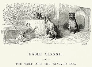 Images Dated 18th December 2014: La Fontaines Fables - Wolf and the Starved Dog