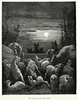 Group Of Animals Gallery: La Fontaines Fables - Wolves and the Sheep