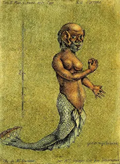 The Pierce Archive Prints: La sirenne. Obs. de Mr. Toussaint