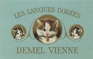 Confectionery Prints: Label Les langues Dorées of Demel