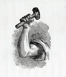 Bpa2 Prints: Labor Class Arm and Hammer