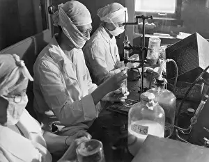 Technician Prints: Laboratory Technicians