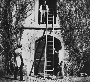 The Ladder