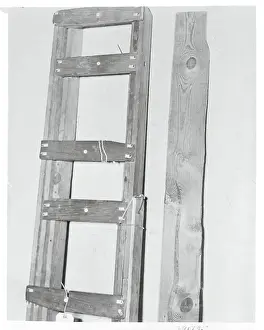 Justice Prints: Ladder Ladder Used by Kidnapper