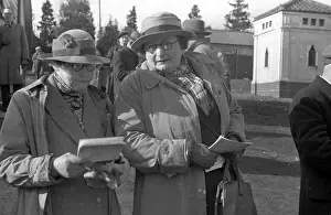 Bookmakers Prints: Ladies Choice