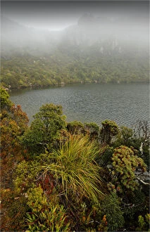 Images Dated 23rd July 2010: Ladies Tarn in mist, Hartz mountains national park, southern Tasmania