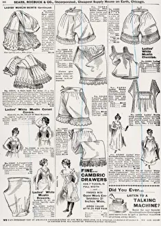 Fotosearch Collection Prints: Ladies Underwear
