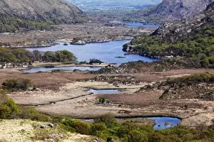 Images Dated 12th May 2010: Ladies View, Upper Lake, Killarney National Park, County Kerry, Ireland, British Isles, Europe