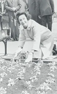Lady Bird Johnson Exploring Garden on Her Knees