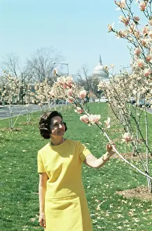 Lady Bird Johnson in White House Garden