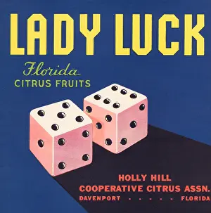 Florida Prints: Lady Luck Brand