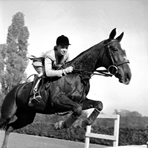 Equestrian Prints: Lady Showjumper