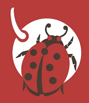 Red Background Prints: Ladybug on Cherry