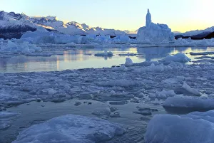 Andes Collection: Lago Argentino with icebergs at sunrise, near Perito Moreno Glacier, High Andes, near El Calafate
