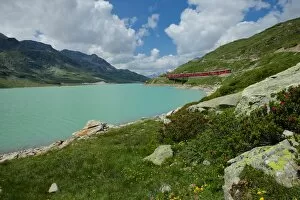 Images Dated 25th July 2014: Lago Bianco, alpine roses