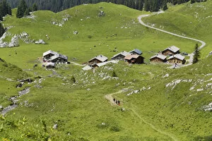 Images Dated 14th July 2013: Laguz Alps, Grosses Walsertal Biosphere Reserve, Vorarlberg, Austria