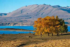Lake Alexandrina, South Island, New Zealand