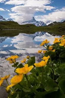 Images Dated 28th June 2014: Lake Bachalpsee, Grindelwald-First, Switzerland